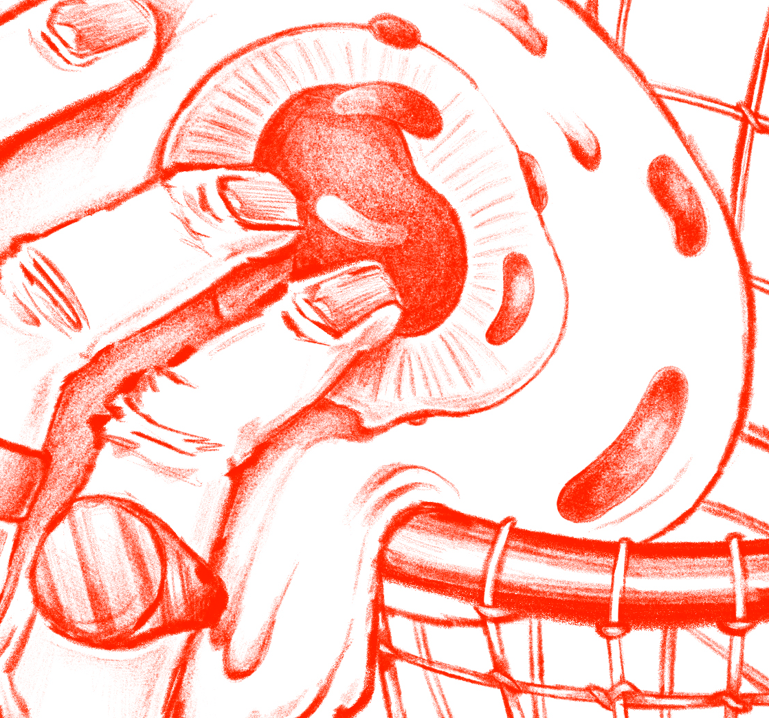 Ilustración "SLAM DUNK"